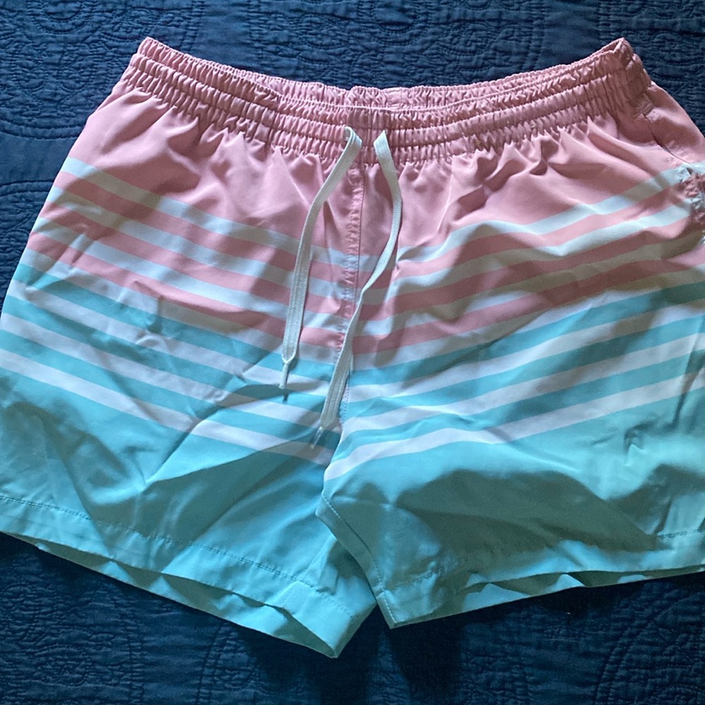 Chubbies swim shorts